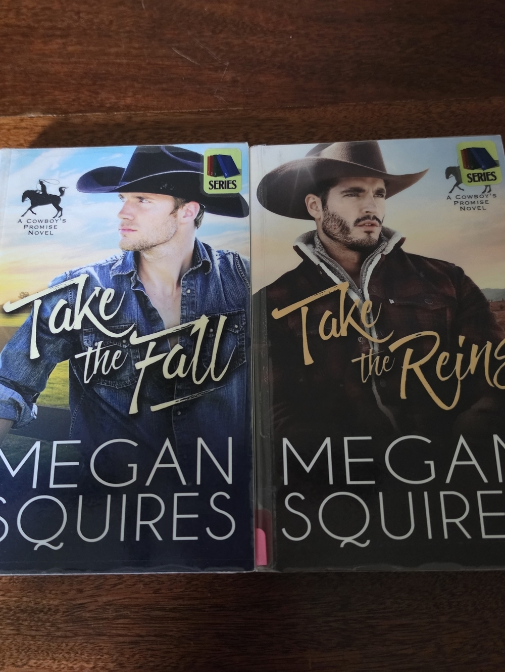 A Cowboy's Promise Duology By Megan Squires Complete Series Paperback Books